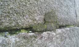 sandymount tower 10850.jpg